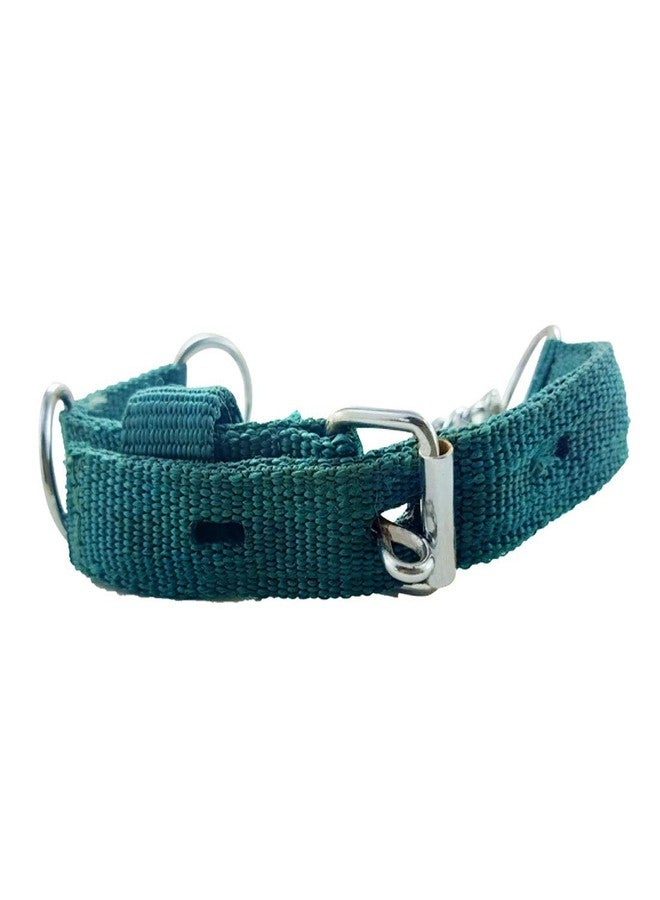 DIY Crafts Pack of 3 Pcs, Green, Nylon Belt Dog (Pack of 3 Pcs, Green) - Image 3
